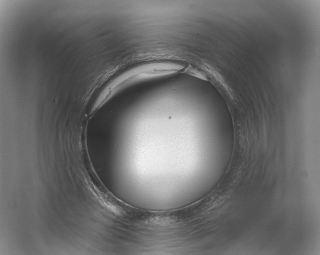 X0000064720537200602241643