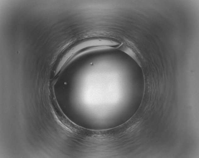 X0000064720538200602241643