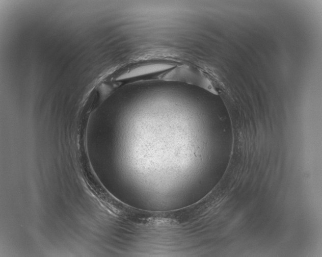 X0000064720539200602241643