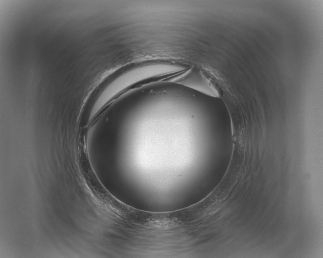 X0000064720540200602241643