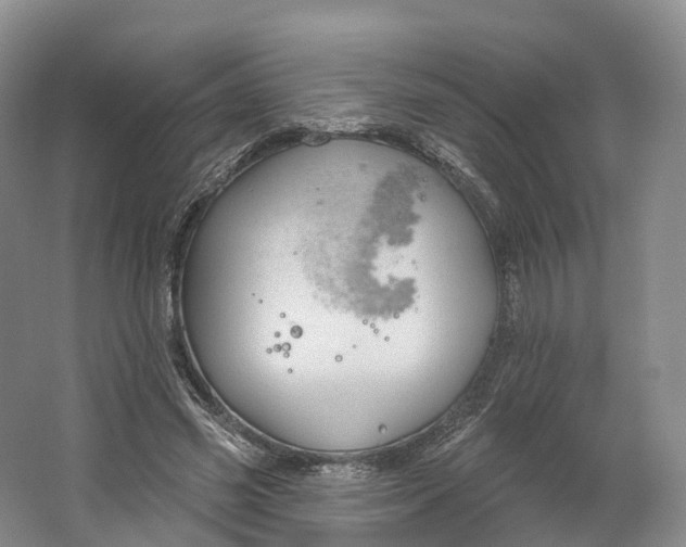 X0000064720541200602241643