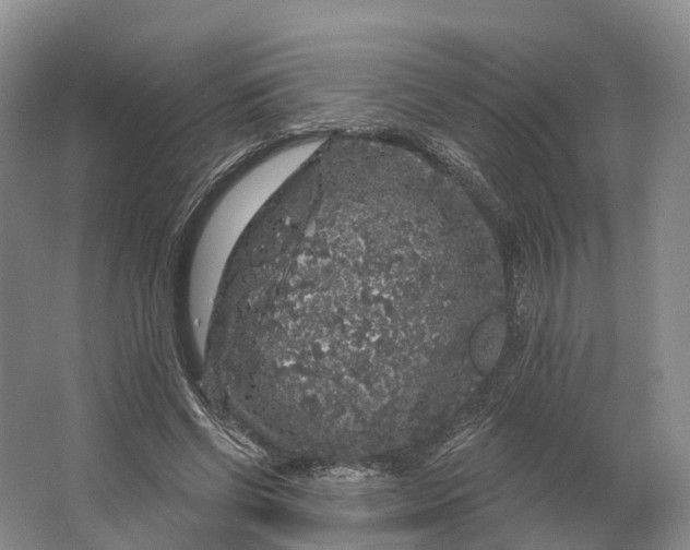 X0000064720542200602241643