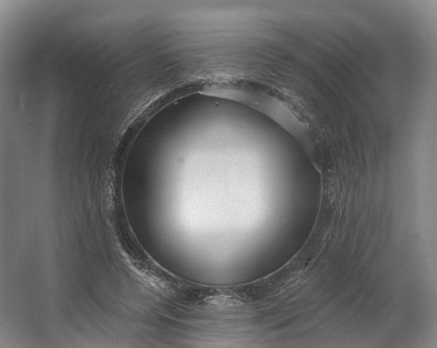 X0000064720544200602241643