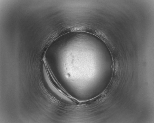 X0000064720545200602241643