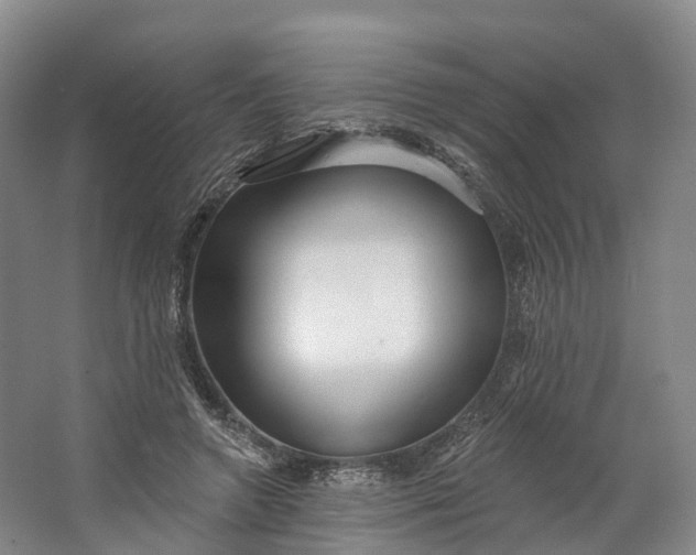 X0000064720546200602241643