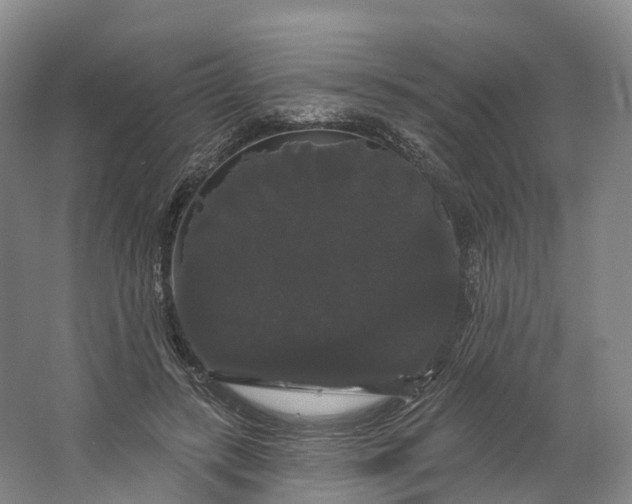 X0000064720547200602241643