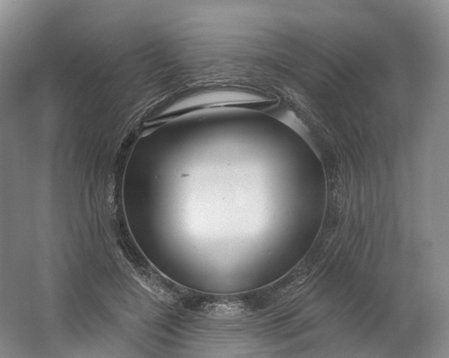 X0000064720548200602241643