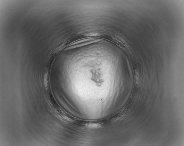 X0000064720549200602241643