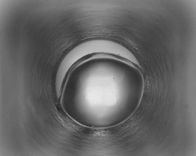 X0000064720550200602241643