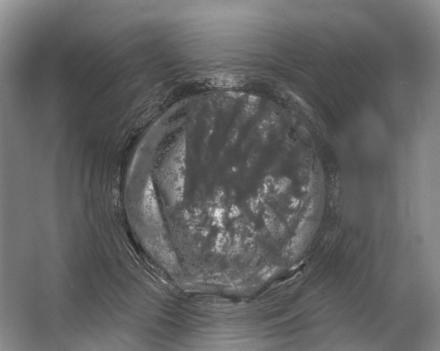 X0000064720553200602241643