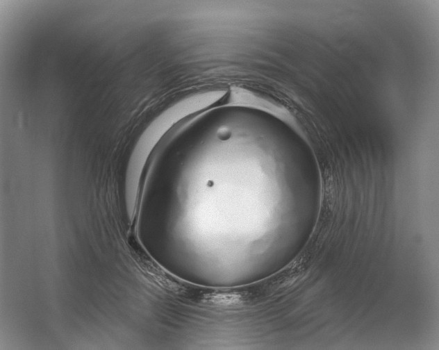 X0000064720554200602241643