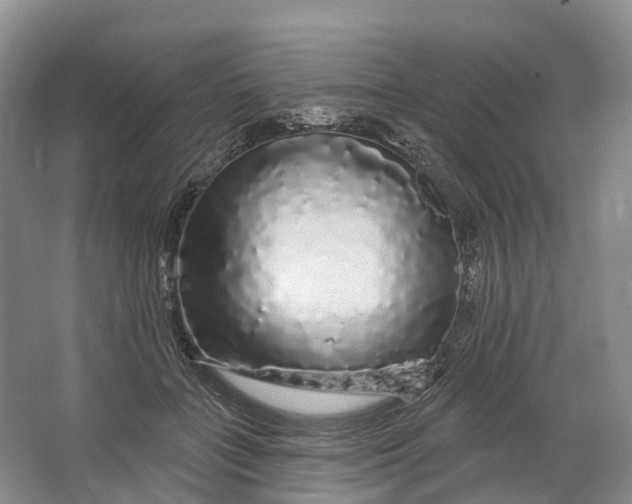 X0000064720555200602241643