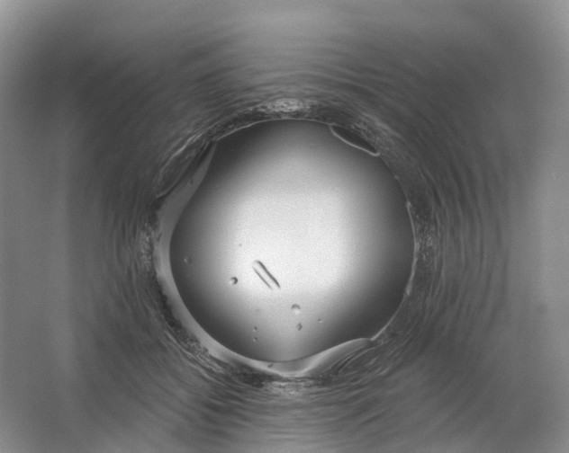 X0000064720556200602241643