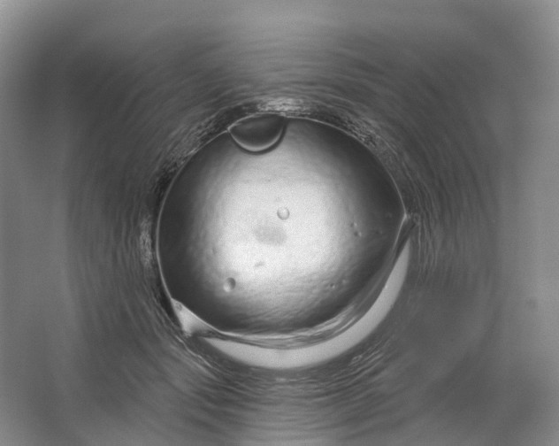 X0000064720557200602241644