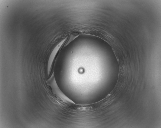 X0000064720558200602241644