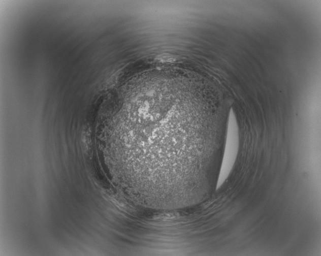 X0000064720559200602241644