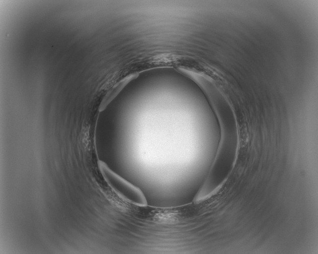 X0000064720560200602241644