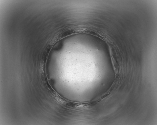 X0000064720561200602241644