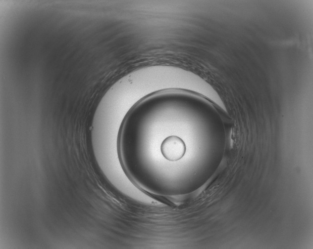 X0000064720562200602241644