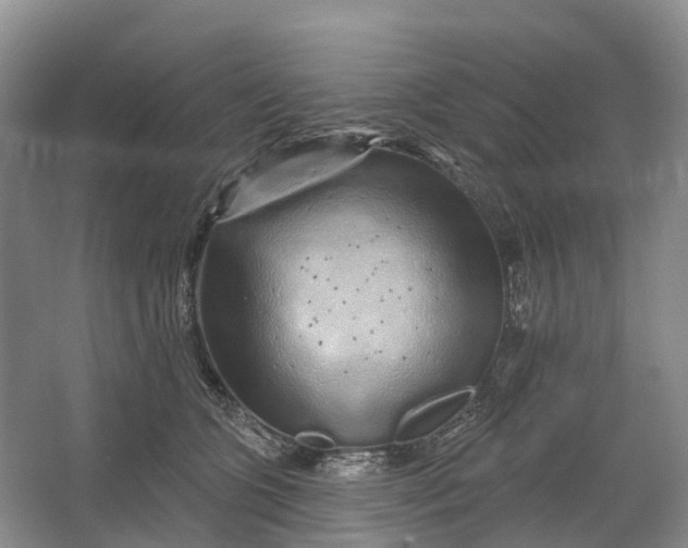 X0000064720563200602241644