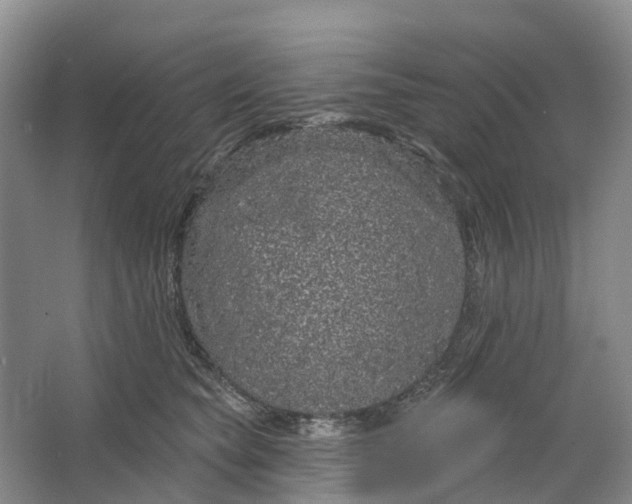 X0000064720565200602241644