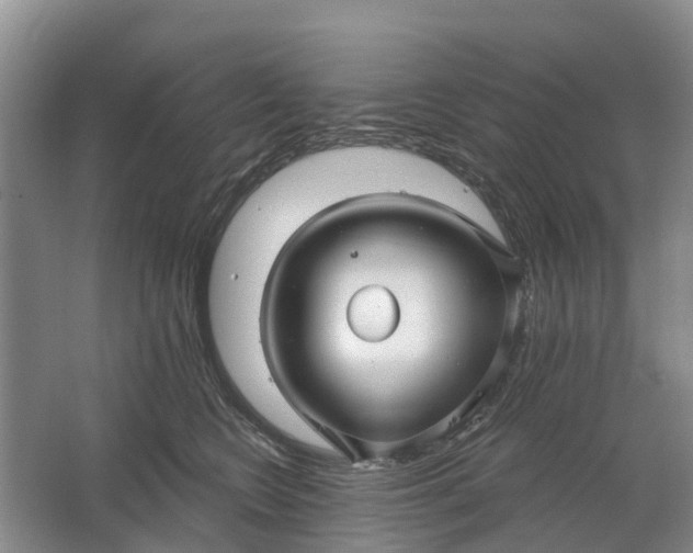 X0000064720566200602241644