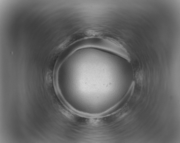 X0000064720570200602241644