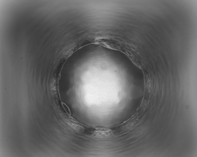 X0000064720571200602241644