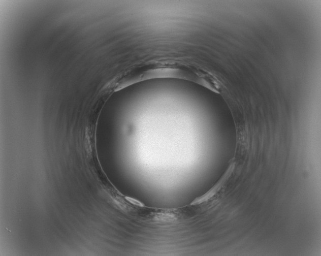 X0000064720572200602241644