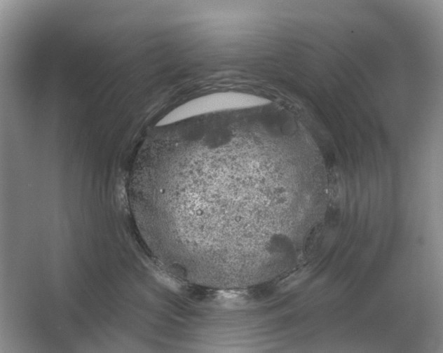 X0000064720573200602241644