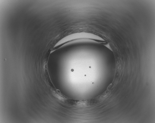 X0000064720574200602241644