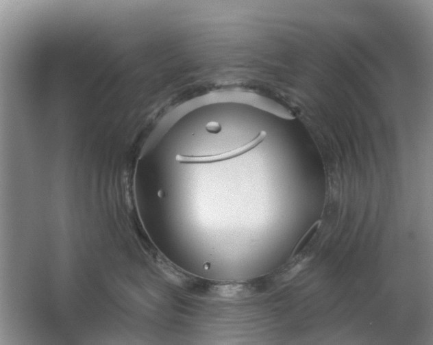 X0000064720575200602241644