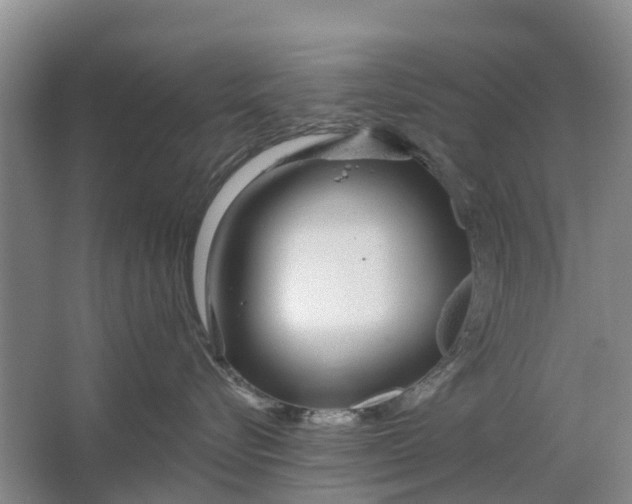 X0000064720576200602241644