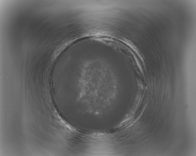 X0000064720577200602241643