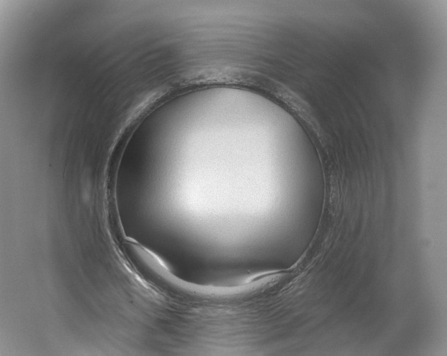 X0000064720578200602241643