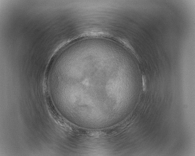 X0000064720579200602241643