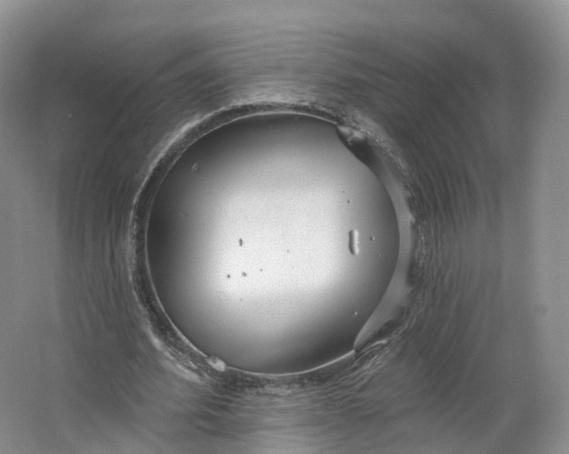 X0000064720580200602241643