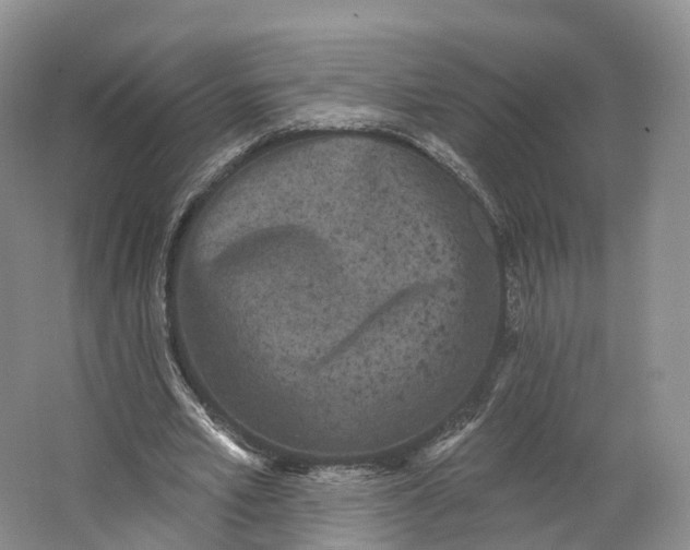 X0000064720581200602241643