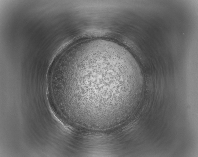 X0000064720582200602241643