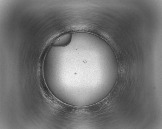 X0000064720583200602241643