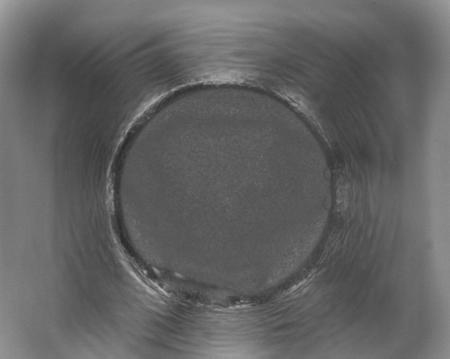 X0000064720584200602241643