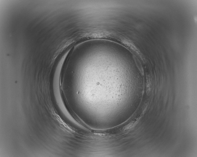 X0000064720585200602241643