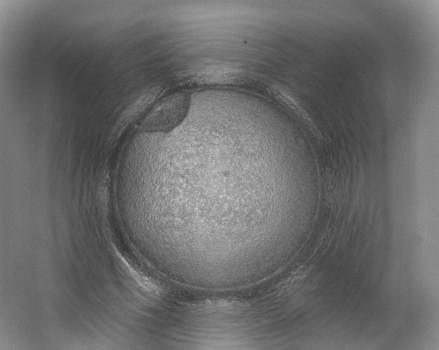 X0000064720586200602241643