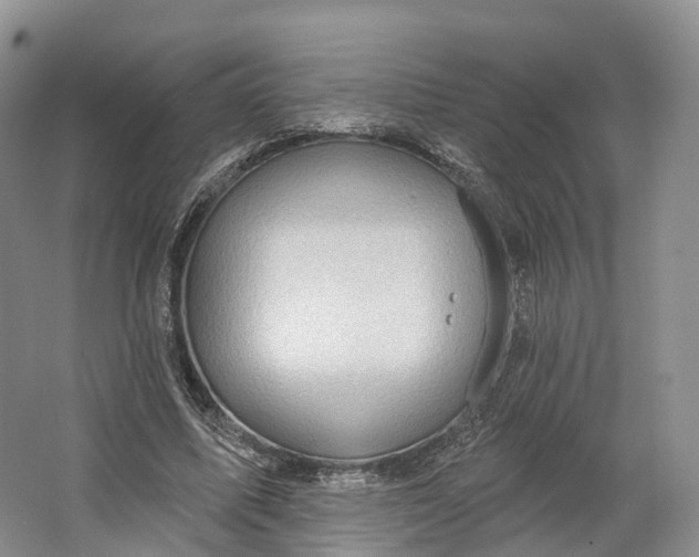 X0000064720587200602241643