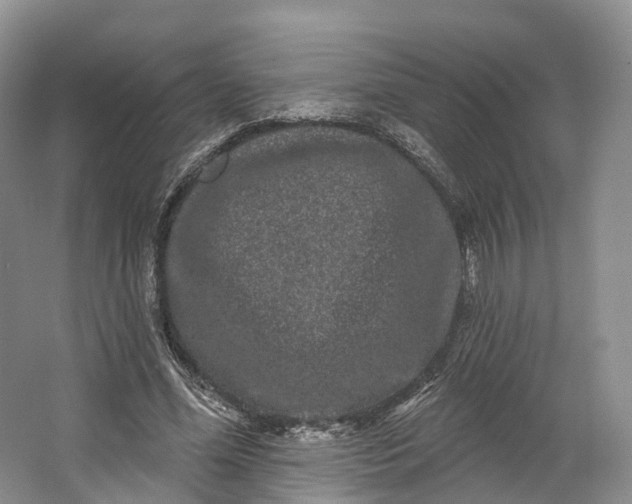 X0000064720588200602241643