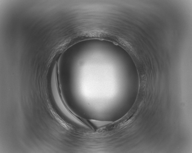 X0000064720589200602241642