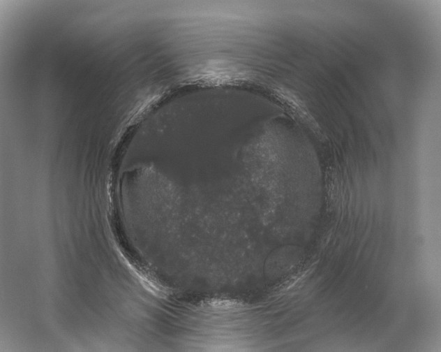 X0000064720590200602241642