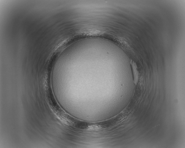 X0000064720591200602241642