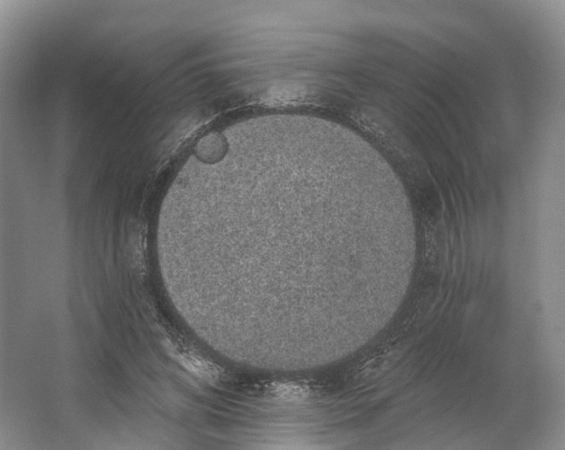 X0000064720592200602241642