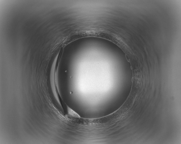 X0000064720593200602241642